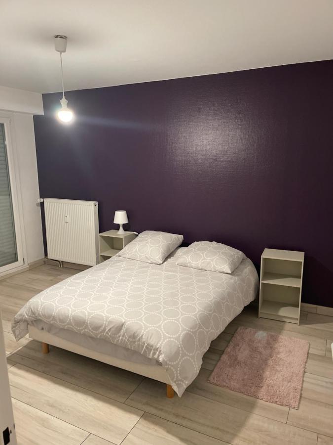 Superbe Appartement Avec Place De Parking Gratuit Strasbourg Exteriör bild